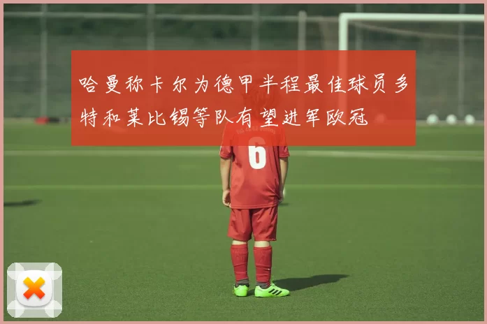 哈曼称卡尔为德甲半程最佳球员多特和莱比锡等队有望进军欧冠